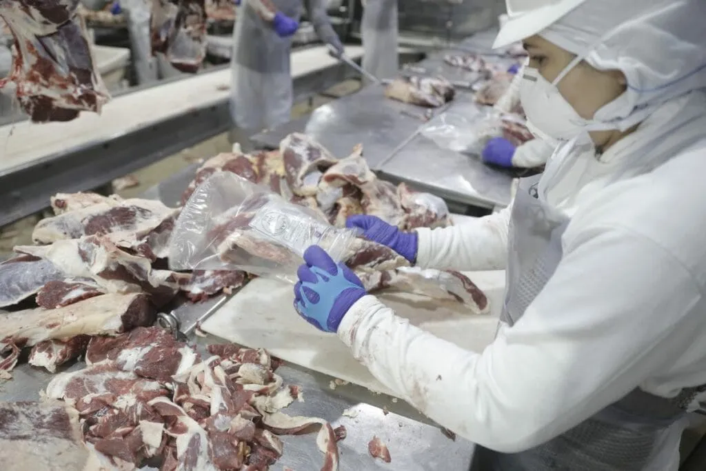 carne bovina exportacao 1024x683 1