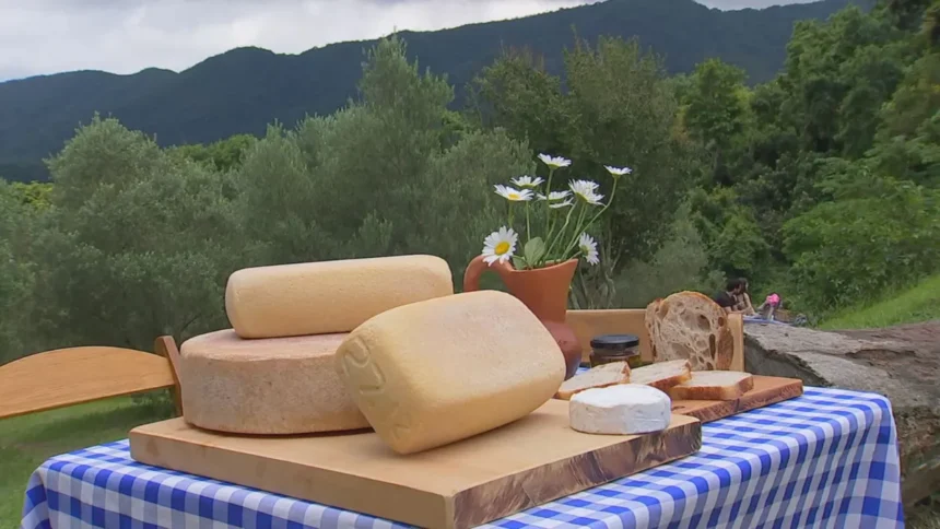 Rota do Queijo valoriza produção artesanal e turismo rural em Jundiaí e Cabreúva