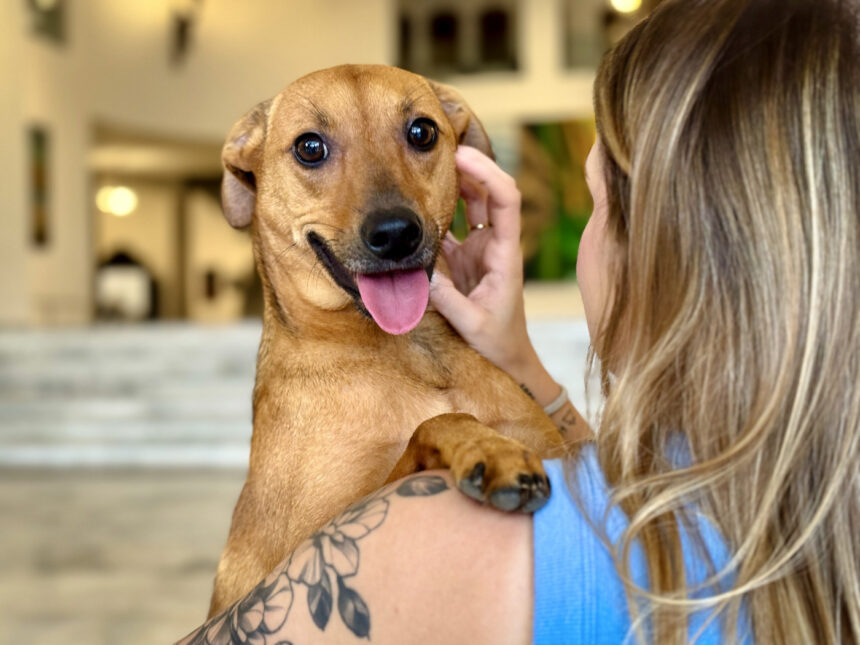 img 5586 1