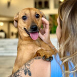 img 5586 2