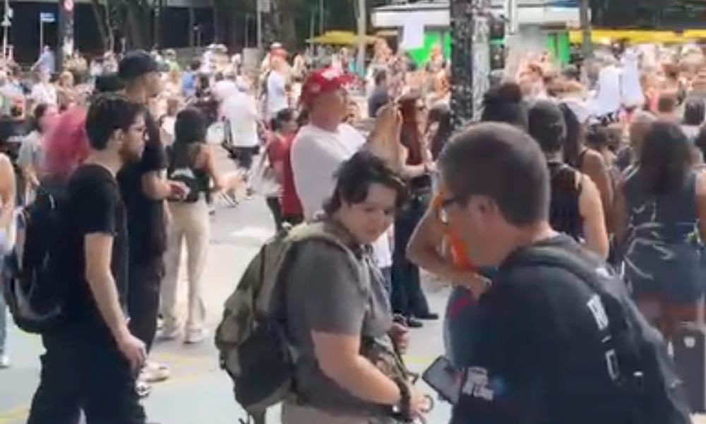 manifestacao na paulista orelha