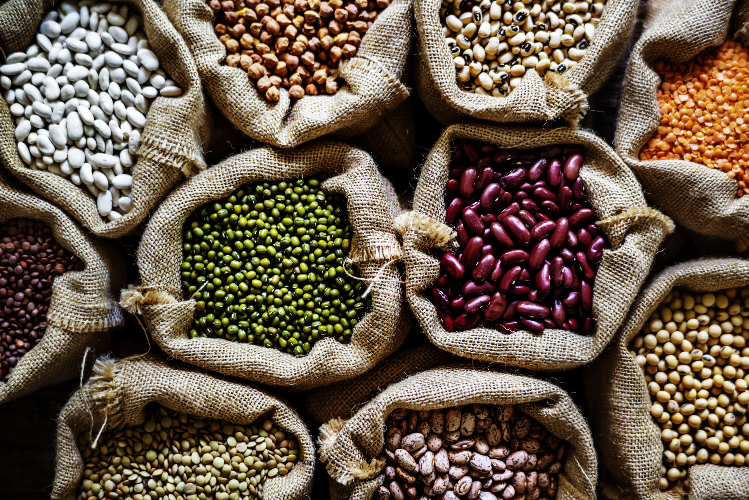 various legumes scaled 1