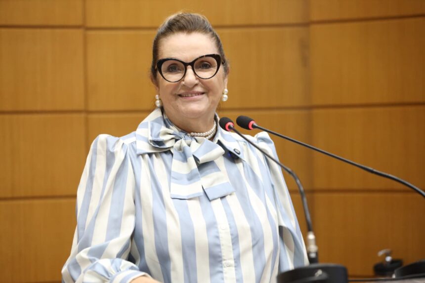 WhatsApp Image 2026 03 11 at 11.24.35