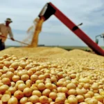 foto seagro governo do tocantins