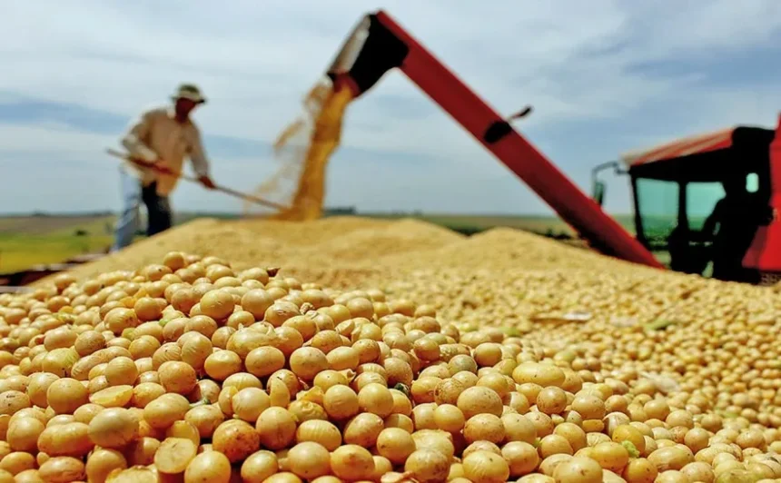 foto seagro governo do tocantins