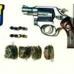 CAPA 87