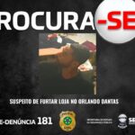 CARTAZ PROCURA SE PC Editavel 2 1