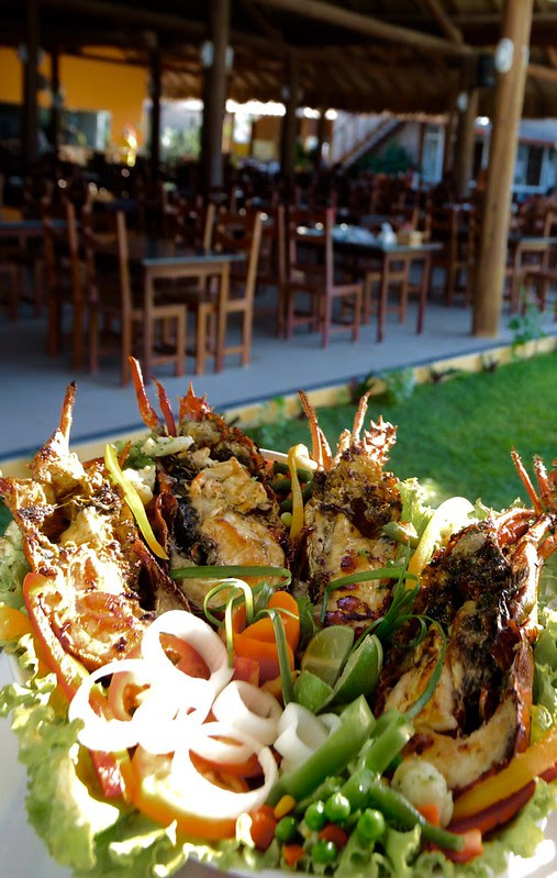 comida bnb