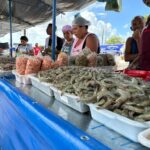 feira pescados