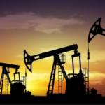 petroleo 8