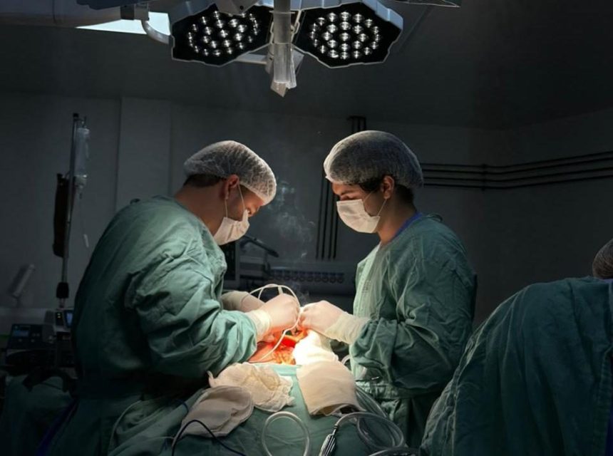 Agilidade no fechamento de protocolos aumenta em 20 o numero de doadores de orgaos em Sergipe