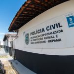 Depama registra aumento de 30 nas denuncias de maus tratos e intensifica acoes em Sergipe