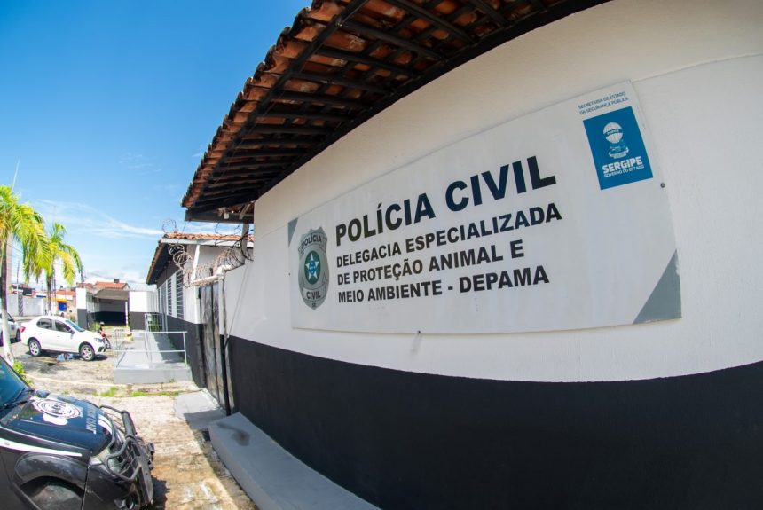 Depama registra aumento de 30 nas denuncias de maus tratos e intensifica acoes em Sergipe