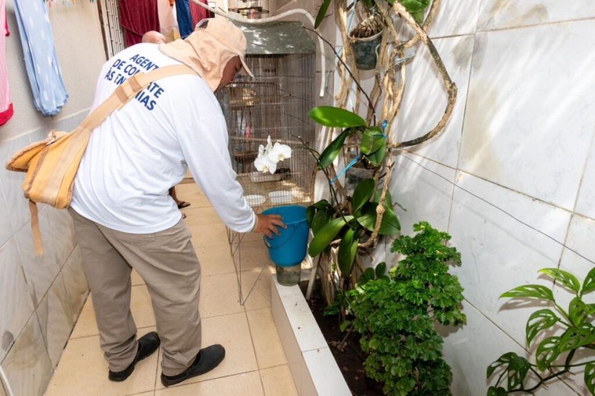 Terceiro LIRAa do ano identifica sete municipios sergipanos com alta infestacao do Aedes aegypti