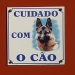 maio roxo destaca a fibromialgia e seus desafios em sergipe 20260529