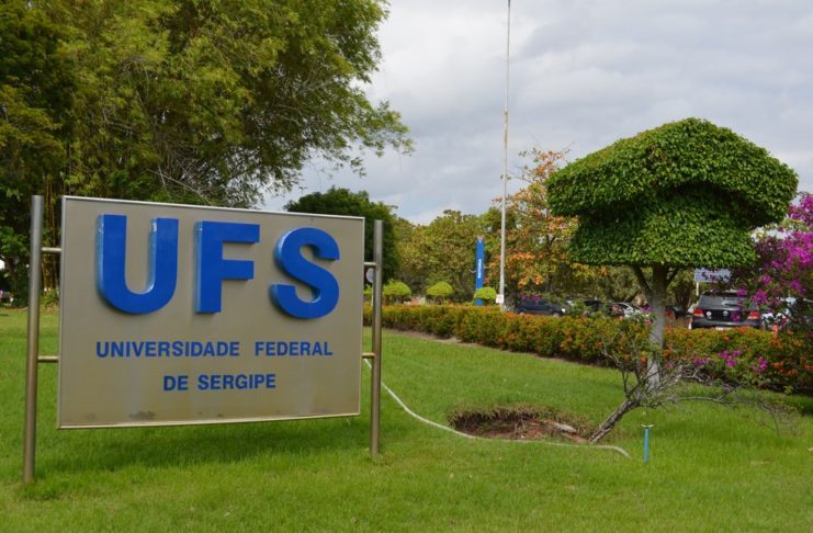 14 gatos s o encontrados mortos no campus da ufs em s o cris 20260609