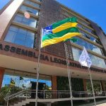 animais poder o ajudar no tratamento de pacientes em hospita 20260619