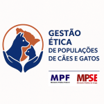 aracaju avan a na prote o de c es e gatos com a o do mp 20260612
