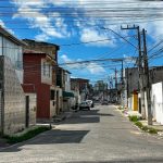 aracajuanos pedem rvores e cidade ganha 484 mudas s em 2026 20260616
