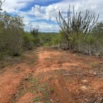 caatinga destru da ilegalmente dentro de rea protegida no se 20260618