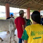 emsurb realiza aula pr tica de casqueamento de equinos em pa 20260626