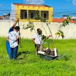escola de aracaju ganha pomar com abacate manga e cajueiro 20260623
