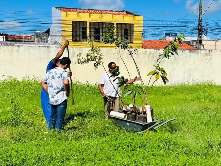 escola de aracaju ganha pomar com abacate manga e cajueiro 20260623