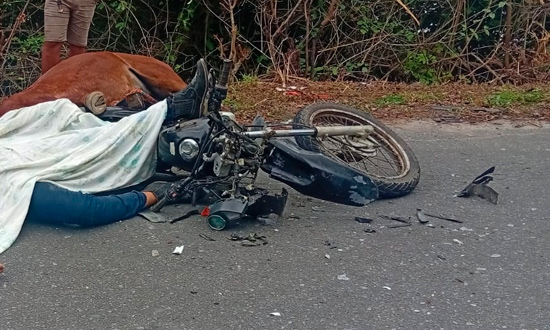 motociclista morre ap s colidir com cava fix 20260608