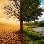 mps recomendam a es contra mudan as clim ticas no or amento 20260625