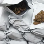 mulher presa com pacotes de flor de maconha em opera o em no 20260601