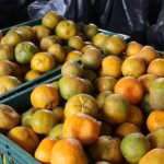 paa estadual leva mais de 14 toneladas de alimentos a fam li 20260617