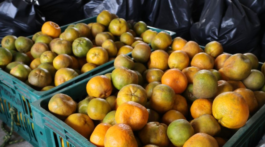 paa estadual leva mais de 14 toneladas de alimentos a fam li 20260617