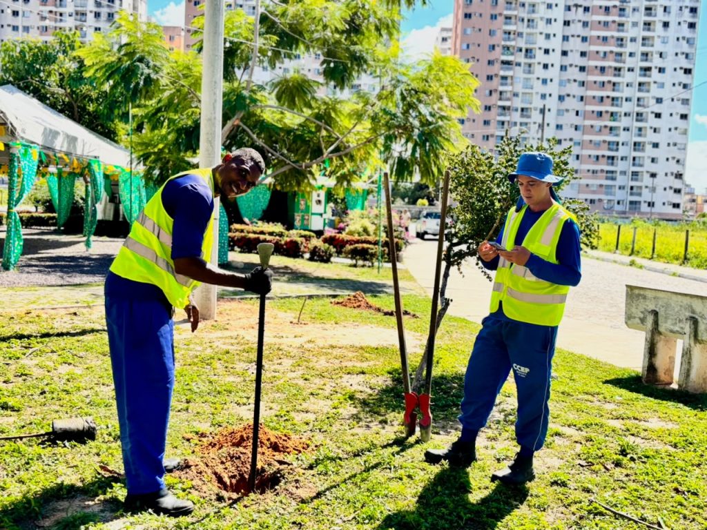 prefeitura de aracaju amplia arboriza o e promove biodiversi 20260618