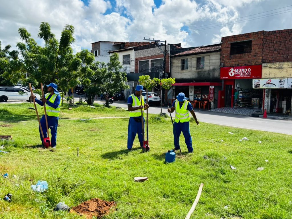 prefeitura de aracaju planta 34 rvores nativas na avenida sa 20260619