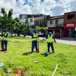 prefeitura de aracaju planta 34 rvores nativas na avenida sa 20260619