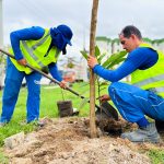 prefeitura de aracaju planta 82 mudas arb reas no bairro jab 20260610