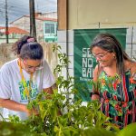 prefeitura de aracaju realiza a o de educa o ambiental no s 20260622