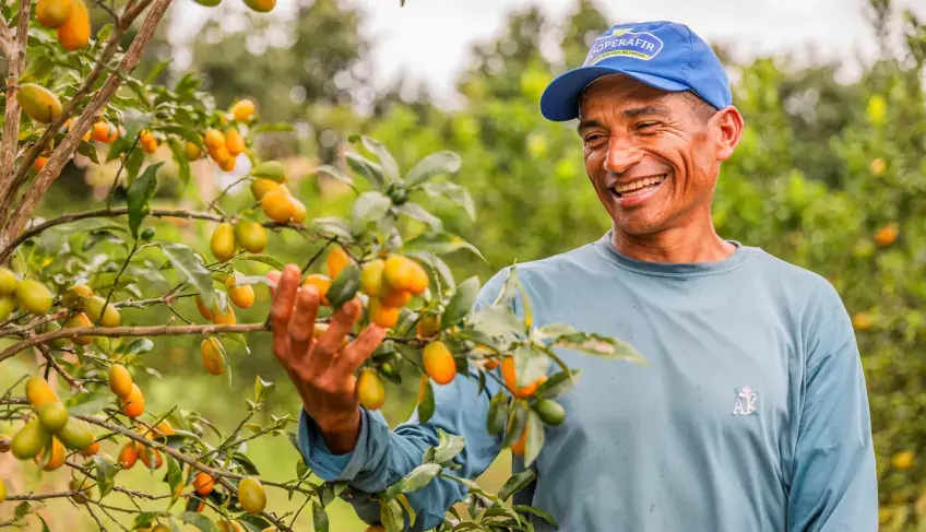produtores de laranja se re nem em umba ba para debater o fu 20260615