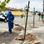 projeto cal ada viva incentiva arboriza o e envolve moradore 20260625