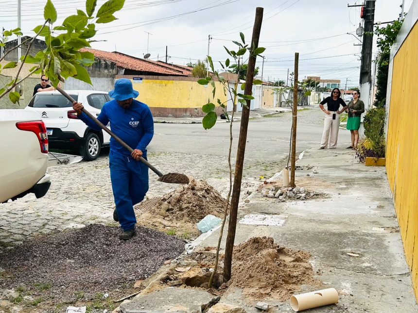 projeto cal ada viva incentiva arboriza o e envolve moradore 20260625