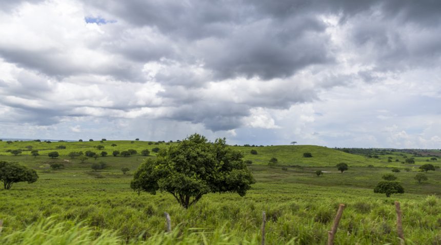 semana come a com chuva e calor em sergipe veja o que espera 20260615