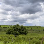 semana come a nublada em sergipe com chance de chuva fraca n 20260615