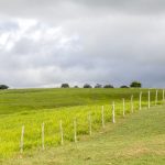 semana come a nublada em sergipe com risco de chuvas fracas 20260608