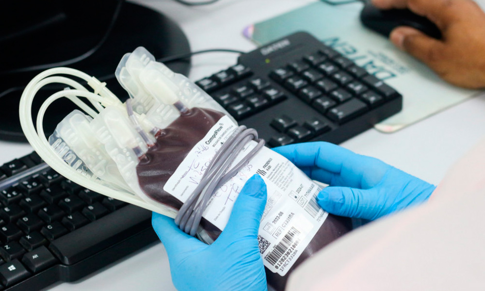 sindijor se realiza campanha de doa o de sangue em julho par 20260623