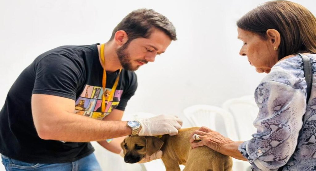 aju animal aracaju realiza 256 atendimentos veterin rios gra 20260703
