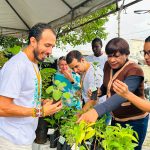 aracaju destina mais de 9 2 mil mudas em nova fase de arbori 20260706