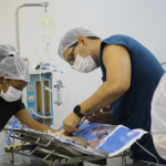 mpf solicita funcionamento m nimo do hospital veterin rio da 20260702