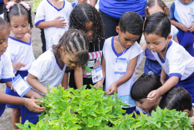 Aracaju capacita equipes para criar parques naturalizados em escolas