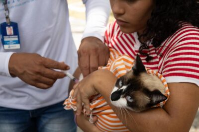 Aracaju registra 45 animais com esporotricose no primeiro semestre