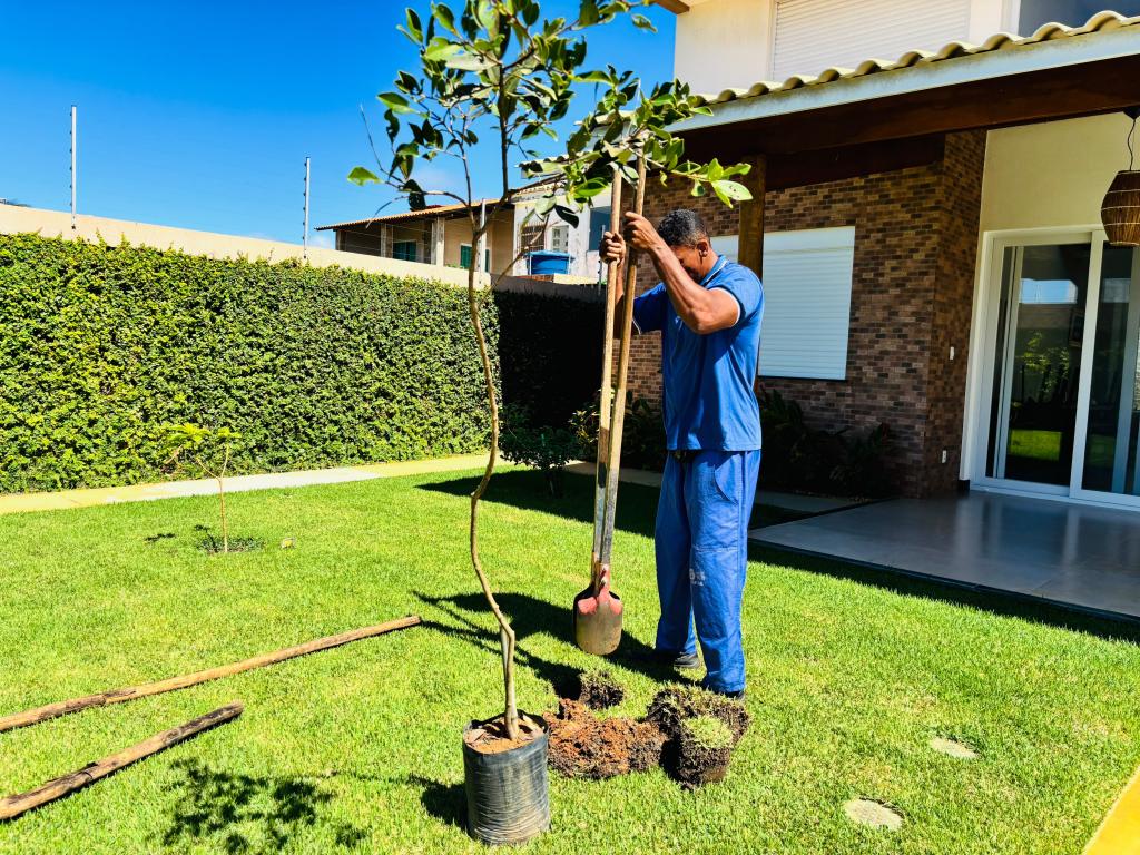 Aruana recebe mudas e vira piloto de arborização em Aracaju